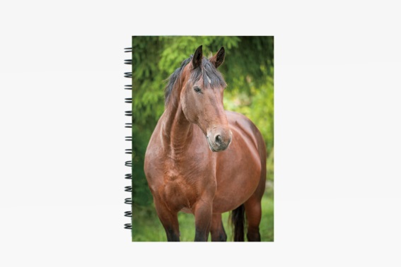 3D notebook horse brown small (12)