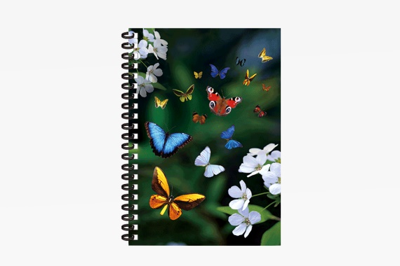 3D notebook butterflies small (12)