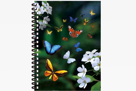 3D notebook butterflies big (12)