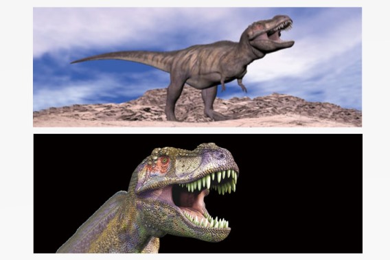 3D bookmark Tyrannosaurus rex (25)
