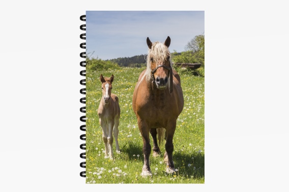 3D Notizbuch Pferde Haflinger klein (12)