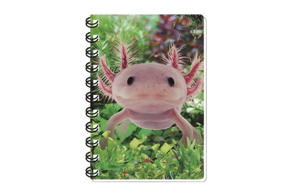 3D Notizbuch Axolotl klein (12)