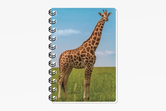 3D Notizbuch Giraffe klein (12)