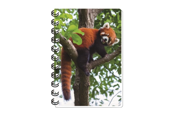 3D Notizbuch Roter Panda klein (12)