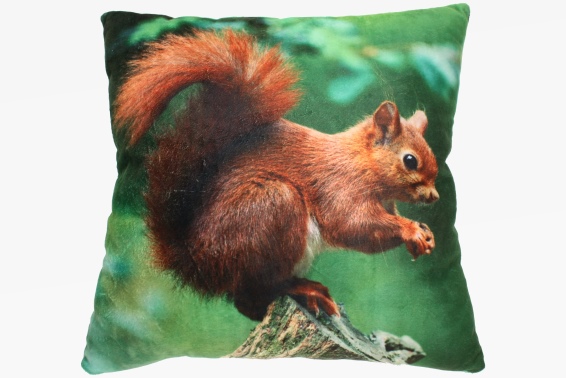 Plush cushion squirell design (3)