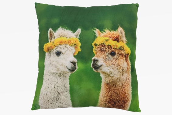 Plush cushion alpacas design (3)